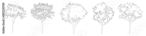 Architectural Tree Outline Graphics, Minimal CAD Line Symbols for Site and Floor Plans