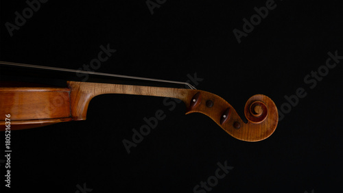 Violin neck with scroll detail showcasing craftsmanship in a dark setting.