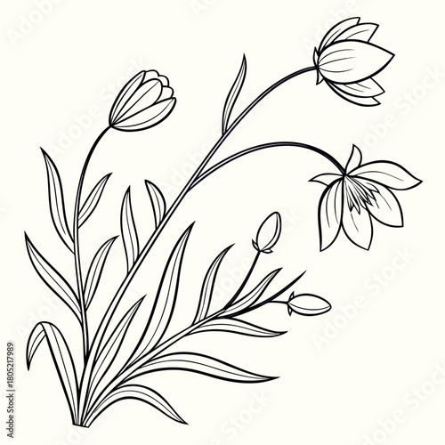 Elegant floral arrangement featuring blooming flowers buds and slender leaves in a line art style design created with generated ai