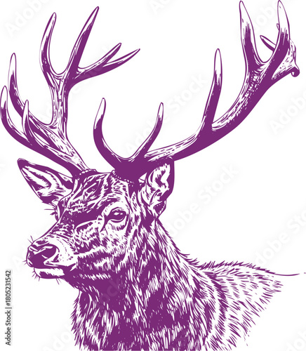 Majestic purple stag head with large antlers on a white background deer animal
