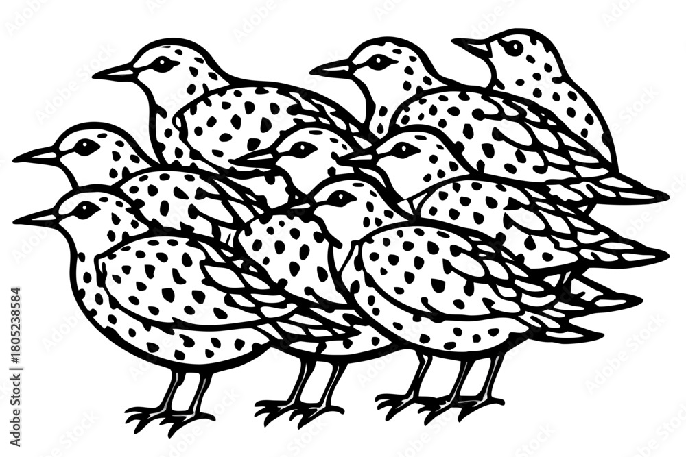 Obraz premium Birds Line Art Bundle Vector on White Background