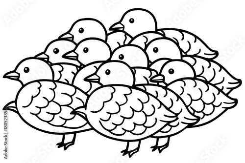Birds Line Art Bundle Vector on White Background