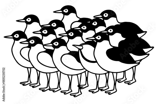 Birds Line Art Bundle Vector on White Background