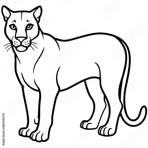 Cougar Silhouette Vector