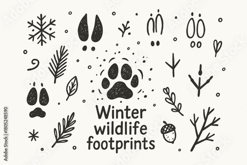 Winter Wildlife Footprints. Winter wildlife footprints. Hand-drawn doodle illustration of Winter wildlife