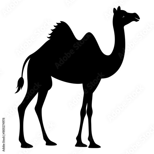 Dromedary Camel Silhouette Vector on White Background