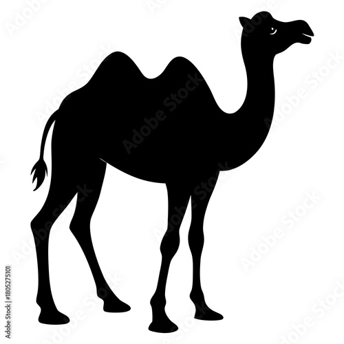 Dromedary Camel Silhouette Vector on White Background