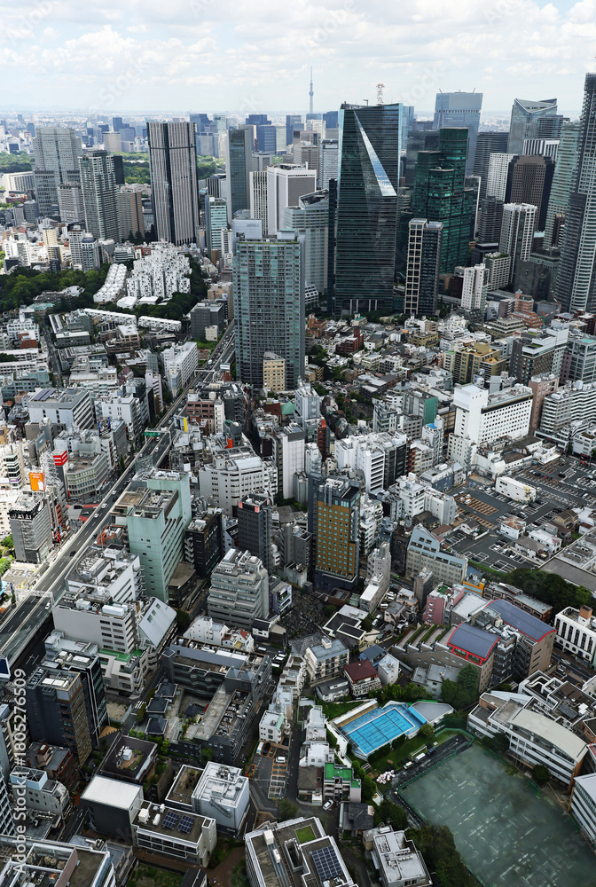 Fototapeta premium Tokyo cityscape Skyscrapers line the streets from Roppongi to Toranomon and Akasaka