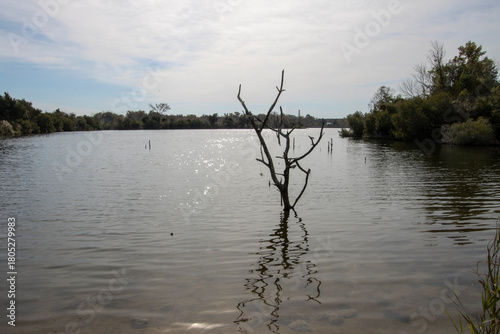 Martin-Marettia Park Lake