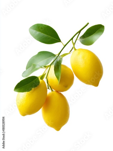 A vibrant cluster of fresh lemons hangs from a green branch. Their bright yellow color evokes freshness and vitality. Perfect for culinary themes and natural illustrations in design. AI