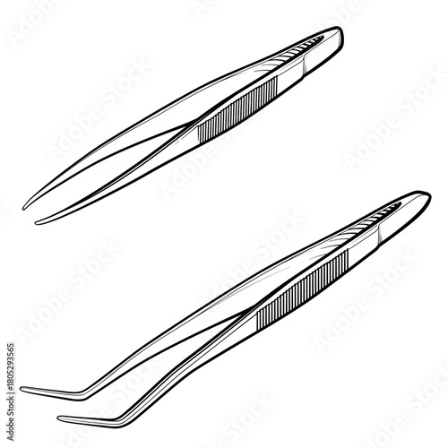 Vector illustration of tweezers. Two tweezers on a white background.