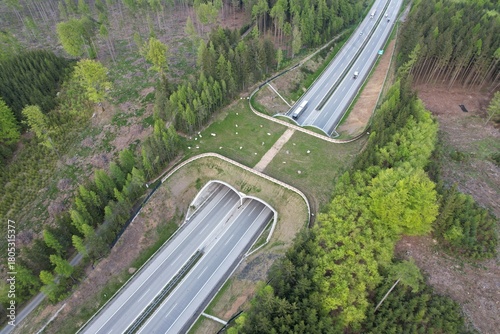 A wildlife bridge Ecoduct biocoridor for wildlife is an overpass that allows animals to cross a road EKODUKT construction aerial panorama view	
