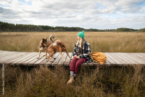 Female owner rest on wooden boardwalk while dogs greet each other on wetland ground. Woman observing canine social play, peat bog pause rest with pets, outdoor animal behavior by autumn wetland visit