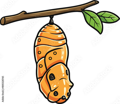Butterfly chrysalis hanging from branch with green leaves natural metamorphosis vector illustration 