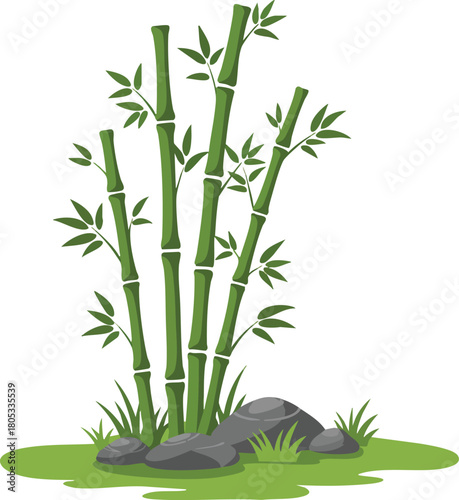 Bamboo plant with green leaves and rocks in natural garden setting vector illustration 