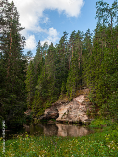 Sandstone cliff and forest river scenery in Taevaskoda, Estonia, with tall pine trees and calm water on a summer day