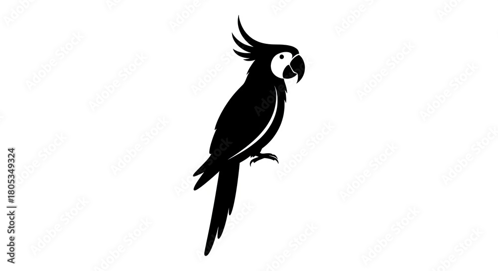 Fototapeta premium Silhouette of a parrot in black and white