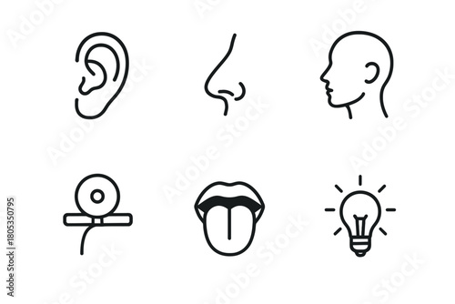 Simple black icons of human senses and light bulb on white background