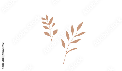 Branch Vector