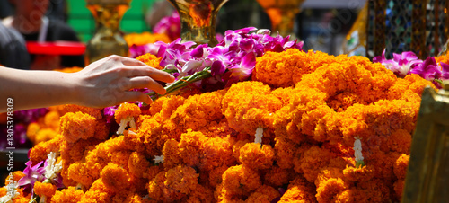 Photography Marigold garlands offered for worship at the Erawan Shrine in Bangkok, Thailand