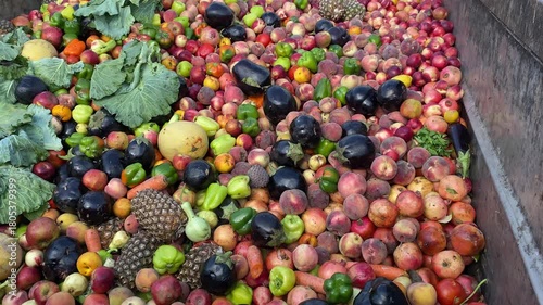 Bio Waste of Expired Vegetables in a huge container, Organic mix in a rubbish bin. Heap of Compost from vegetables or food for animals.