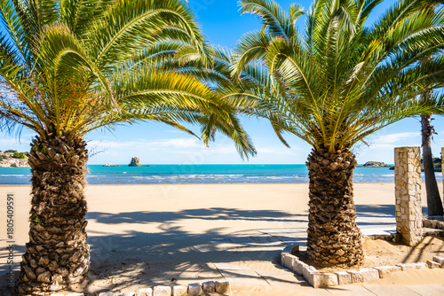 Fototapeta Naklejka Na Ścianę i Meble -  Palm trees line the sandy beach facing the small island of Isola di Varano on the Adriatic coast near Vieste, Apulia, Italy