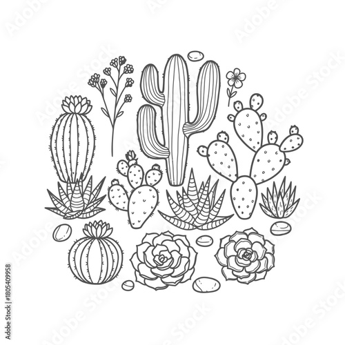 A charming monochrome illustration showcases a delightful circular arrangement of diverse desert plants, featuring various cacti and succulents, ideal for botanical design projects.