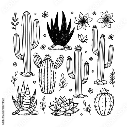 A captivating collection of hand-drawn desert plants, featuring various cacti and succulents, all rendered in a clean black and white outline illustration style.