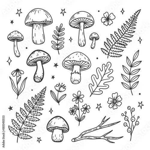 A charming collection of whimsical hand-drawn forest elements, featuring diverse mushrooms, delicate ferns, wildflowers, and botanical leaves in a clean sketch style.