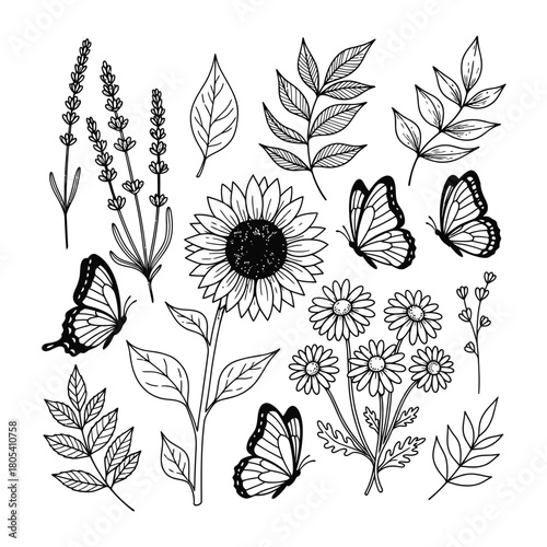 A beautiful collection of hand-drawn botanical illustrations featuring delicate butterflies, blooming sunflowers, fragrant lavender, and charming daisies, perfect for design projects.