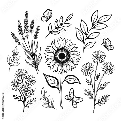 A charming collection of hand-drawn botanical illustrations featuring sunflowers, fragrant lavender, delicate daisies, and graceful butterflies, ideal for nature-inspired designs.