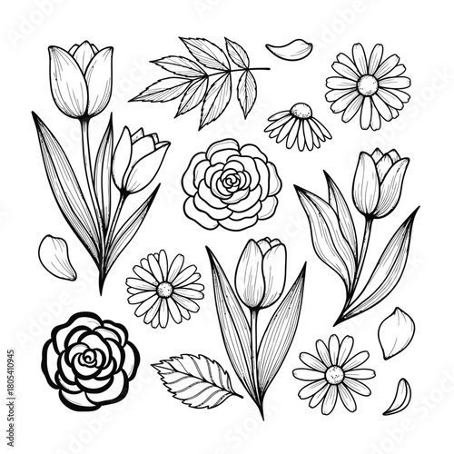 A beautiful collection of hand-drawn outline flowers, featuring graceful tulips, delicate roses, and charming daisies, perfect for spring designs or coloring.