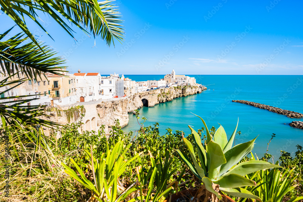 Obraz premium Scenic view of Vieste, a charming seaside town on Italy’s Gargano Peninsula, with sandy beach and whitewashed houses, Apulia, Italy