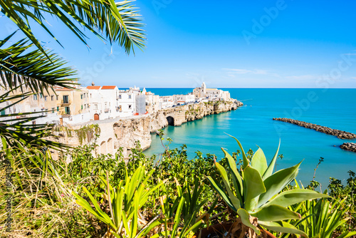 Fototapeta Naklejka Na Ścianę i Meble -  Scenic view of Vieste, a charming seaside town on Italy’s Gargano Peninsula, with sandy beach and whitewashed houses, Apulia, Italy