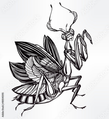 An intricately detailed black and white illustration of a praying mantis with elaborate wings.