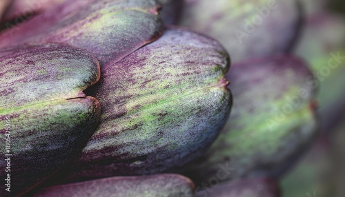 Close up of a deep purple artichoke with green speckles and textured leaves against a blurred background with soft lighting