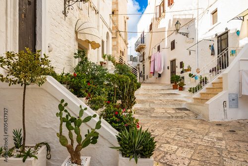 Picturesque whitewashed alley lined with plants and stone steps leading uphill in Ostuni town, Apulia, Italy