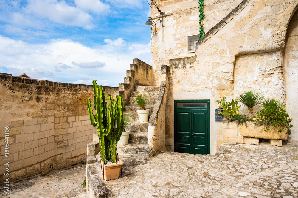 custom made wallpaper toronto digitalRustic stone courtyard with potted cacti and old green doors in Matera’s old town, Apulia, Italy