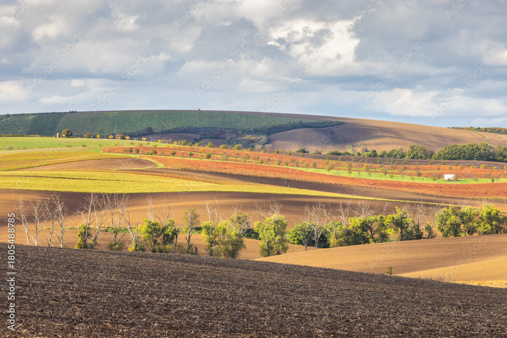 Fototapeta premium The country of South Moravia in the Czech Republic, Europe. Rolling farmland with patterned crops, textures and trees, beneath a partly cloudy sky. Diverse textures and colors under changing sunlight.