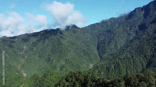 Aerial view of primary tropical rainforest with mountains in the background in Papua, Indonesia.