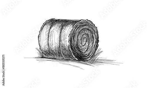 haystack rolled-up lying in the field vector illustration