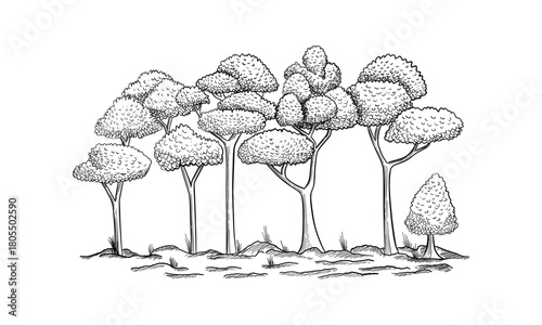 panoramic view of the forest from deciduous trees hand drawn vector illustration Sketch design.