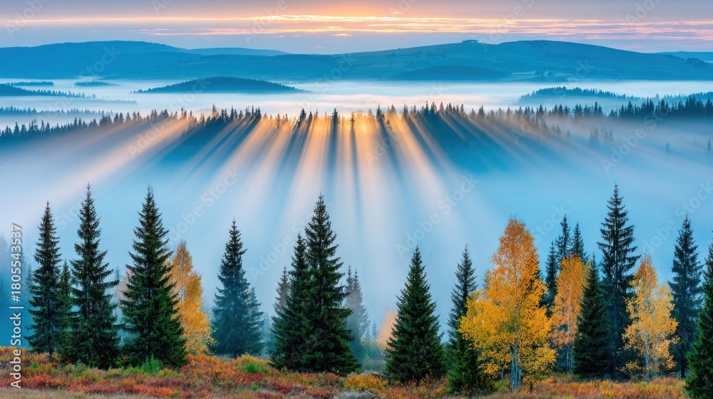 Obraz premium Sun Rays Through Forest Trees with Fog in Mountain Landscape