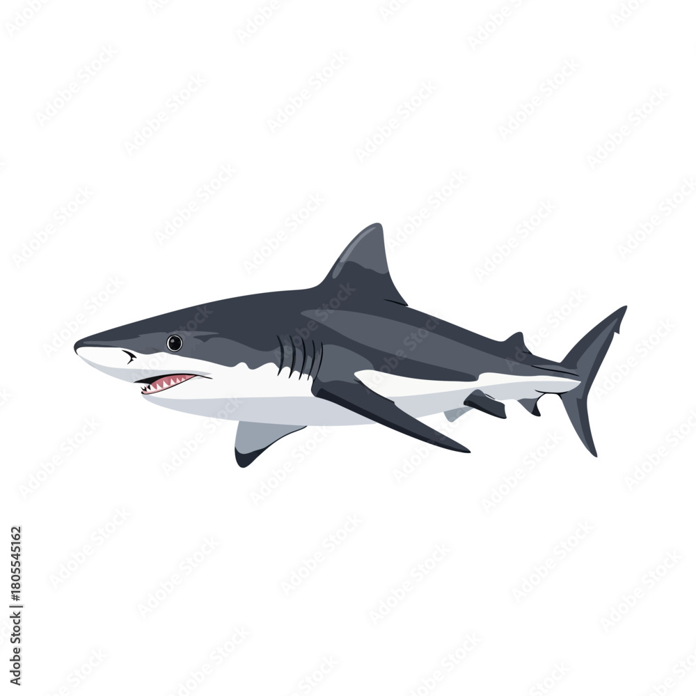 Obraz premium Cartoon Shark Vector Illustration