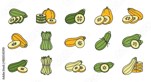 Illustration of various types of squash, including zucchini and yellow squash, some whole and some sliced.