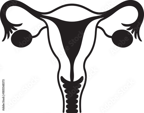 Black and white graphic illustration of female reproductive system anatomy uterus ovaries fallopian tubes
