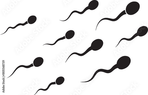 Multiple black sperm cells with wavy tails swimming in a white background spermatozoon