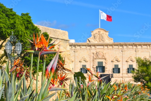 Maltese flag waving on a baroque landmark with stonework and coats of arms in Valetta Birds of paradise flower outside Auberge de Castille with its cannons is the office of the Prime Minister of Malta