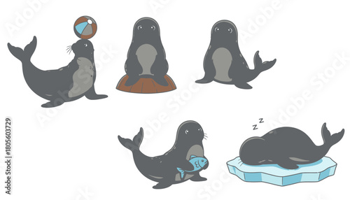 Cartoon seals in various poses: balancing a ball, sitting, holding a fish, and sleeping on an ice floe.