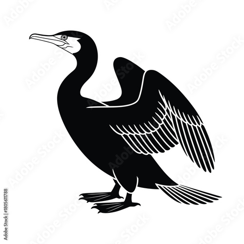 Stylized silhouette of a cormorant bird with wings spread